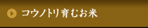 コウノトリ育むお米